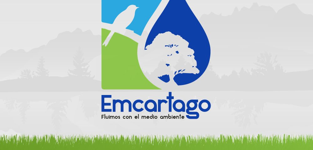 New 1reposición de rejillas y obras complementarias