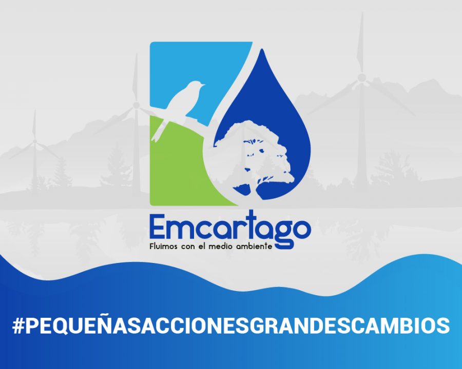 New 2reposición de rejillas y obras complementarias